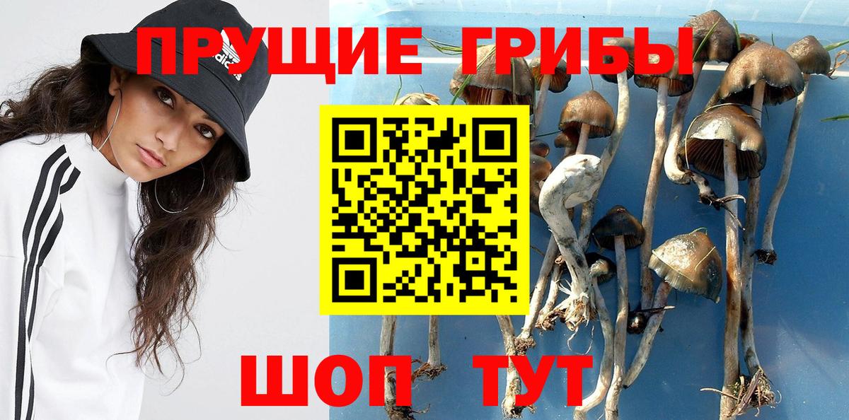 Псилоцибиновые грибы ЛСД Лесосибирск
