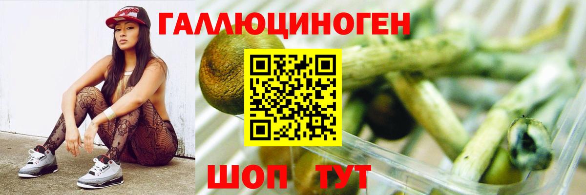 Лесосибирск  Псилоцибиновые грибы мицелий  Галлюциногенные грибы Psilocybine cubensis  Вход с VPN 